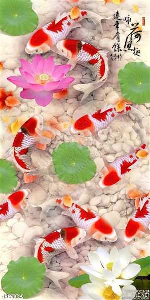 Tranh hoa sen, cá chép quần tụ phong thủy
