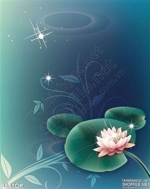 Tranh hoa sen, cá chép dán tường
