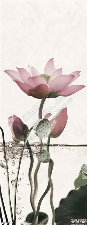 Tranh hoa sen thư pháp nghệ thuật