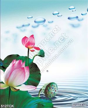 Tranh hoa sen, cá chép dán tường đẹp