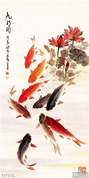 Tranh hoa sen, cá chép thư pháp màu nước