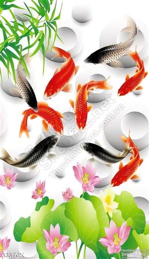 Tranh hoa sen, cá chép nghệ thuật