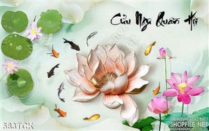 Tranh hoa sen và đàn cá chép bơi quay