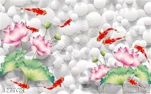 Tranh cá chép và nền sỏi trắng đẹp bắt mắt