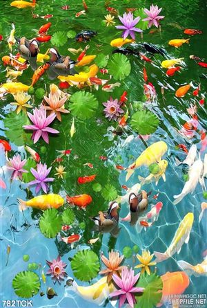 Tranh in uv đàn cá chép khổng lồ