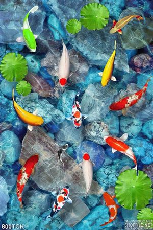 Tranh cá chép bơi  dưới nước