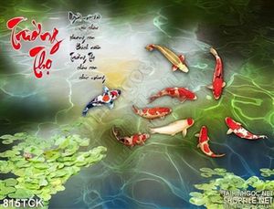 Tranh cá chép trường thọ 3d