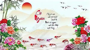 Tranh cội nguội đàn cá koi và hoa mẫu đơn wall