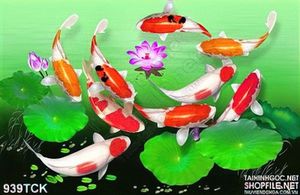 Tranh cá koi quần hội bên bông hoa sen đẹp in uv