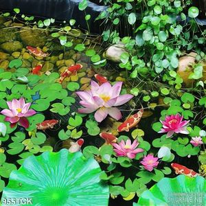 Tranh cá chép và hồ sen đẹp
