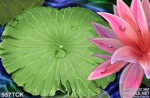 Tranh lá sen to xanh 3d in uv