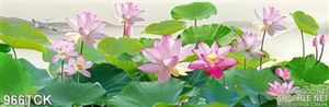 Tranh đầm sen nở rộ 3d
