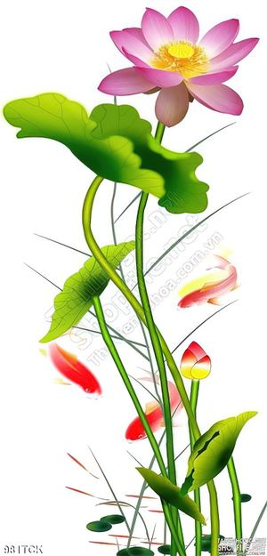 Tranh khổ dọc hoa sen cá chép