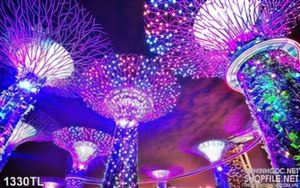 Tranh pháo hoa trang trí đẹp