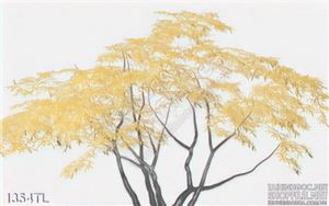 Tranh trang trí treo tường đẹp