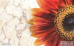 Tranh hoa đồng tiền trang trí treo tường đẹp