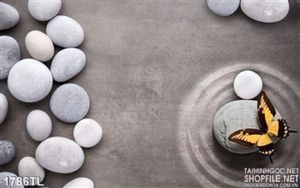 Tranh sỏi Spa trang trí đẹp