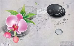 Tranh hoa Lan Spa