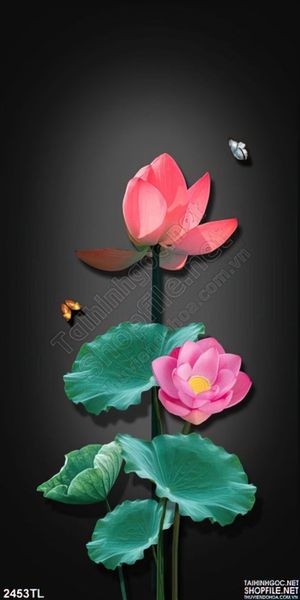 Tranh hoa Sen trang trí tường nghệ thuật