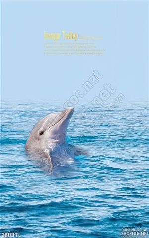 Tranh biển và cá heo trang trí phòng ngủ