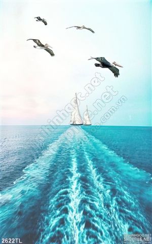 Tranh biển và diều hâu treo tường phòng khách