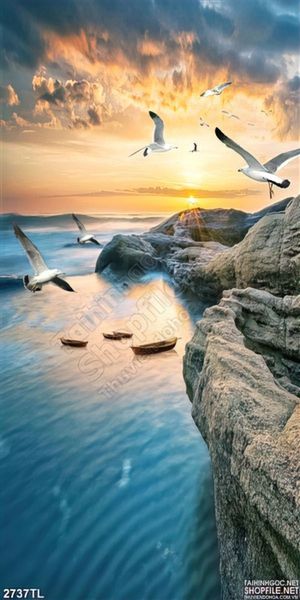 Tranh biển và chim hải âu