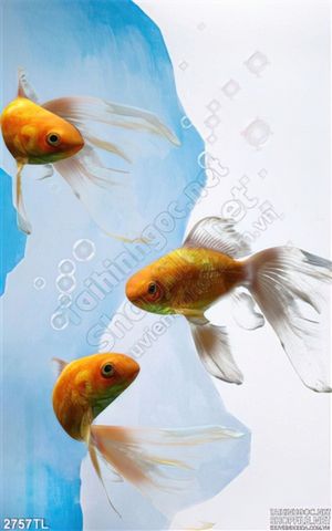 Tranh sơn dầu cá 4 đuôi trang trí tường