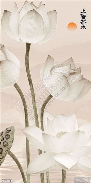 Tranh hoa Sen thư pháp mới nhất