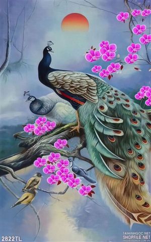 Tranh chim công và mùa xuân đẹp nhất