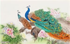 Tranh màu nước chim công đẹp nhất