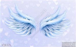 Tranh đôi cánh thiên thần trang trí tường đẹp