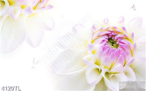 Tranh lụa hoa cúc tím nở