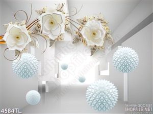 Tranh không gian 3D cầu trắng