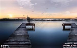 Tranh lụa 3D trang trí treo tường đẹp