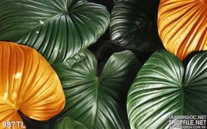 Tranh lá nghệ thuật trang trí nội thất hiện đại