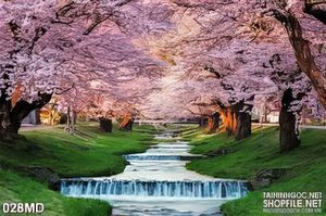 Tranh hai hàng đào nở rộ trên con suối in uv
