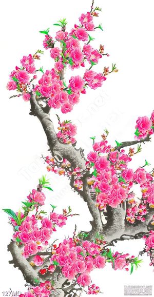 Tranh psd cành đào khoe sắc hồng trang trí