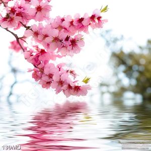 Tranh 3d cành hoa đào khoe sắc hồng trên hồ