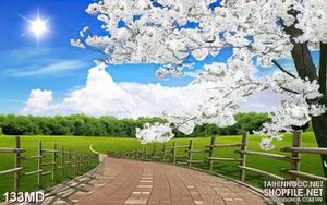 Tranh cây đào hoa trắng bên đường in canvas