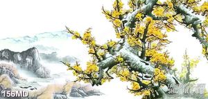Tranh cành mai già nở rộ khoe sắc vàng in uv