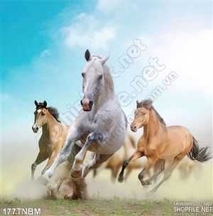 Tranh Ngựa Psd mã đáo thành công