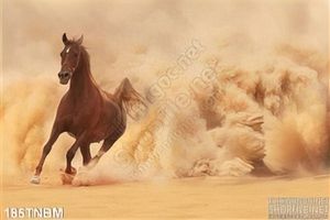 Tranh Ngựa Psd mã đáo thành công