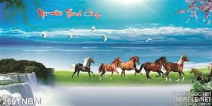 Tranh Ngựa trang trí tường