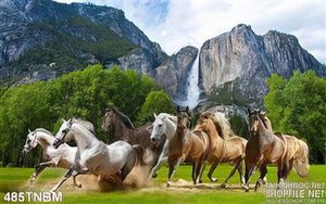 Tranh Bát Mã phi nước đại trên thảo nguyên