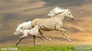 Tranh Bạch Mã phi nước đại trên thảo nguyên