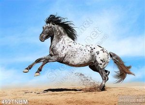 File psd tranh ngựa đẹp