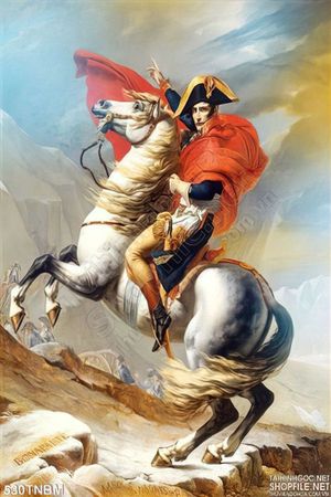 Tranh nghệ thuật hoàng đế Napoleon và chú ngựa