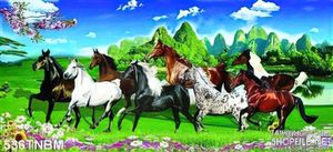 Tranh Ngựa đẹp treo tường