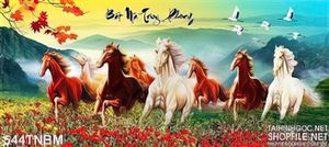 Tranh phong cảnh Bát Mã trên cánh đồng hoa