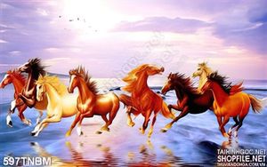Chiều hoàng hôn trên biển cùng 8 chú ngựa